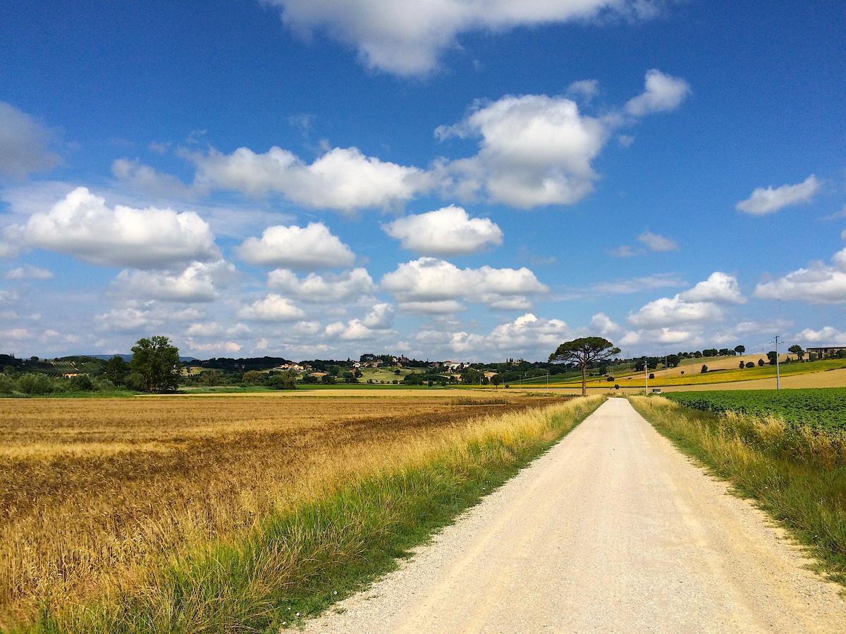 Agriturismo Poggio Antico Binami Екстериор снимка